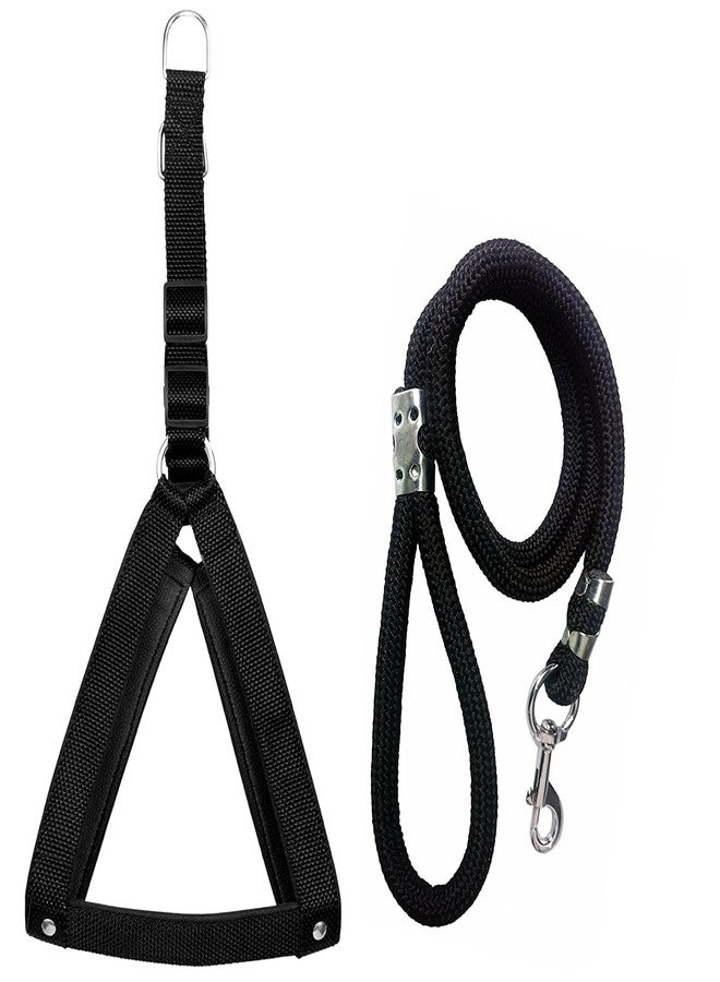 VIPCOLLECTION No Pull -Step In Soft Padded Dog Harness With Comfortable Rope Leash Comfortable For Walking Running Training 0.5 Inch(Extra Small,Black) - Image 1